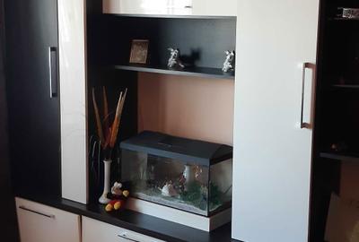 Apartament cu 2 camere semidecomandat în Viziru 3 - 1