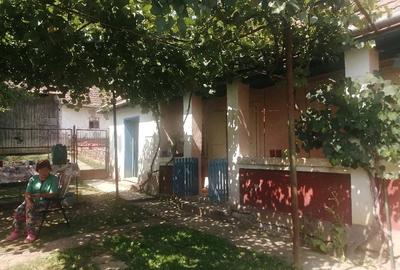 Casă cu 2 camere cu Teren 1000 Mp în Șoimuș