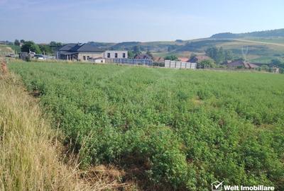 Teren agricol intravilan de 7092 mp, în Corușu - 3