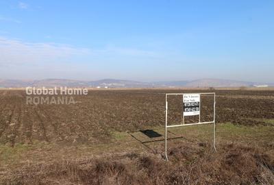 Teren Construcții intravilan de 25000 mp, în Sânpaul - 7
