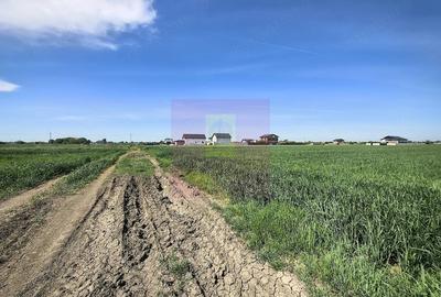 Teren de 2200 mp, în Dărăști-Ilfov