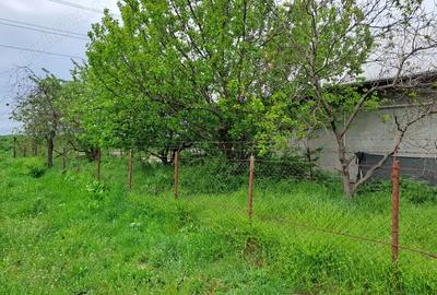 Casă cu 4 camere cu Teren 256 Mp în Oltenița - 6