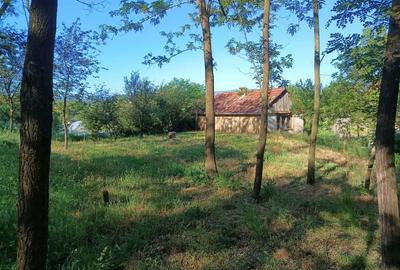 Teren de 1500 mp, în Zăuan - 8