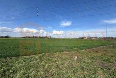 Teren Construcții extravilan de 18000 mp, în Valu lui Traian - 2