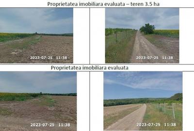 Teren de 35000 mp, în Horgești - 3