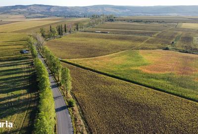 Teren de 7200 mp, în Central