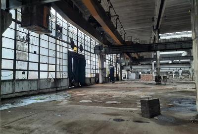 Spațiu industrial, de 20,000 mp, în Central - 14