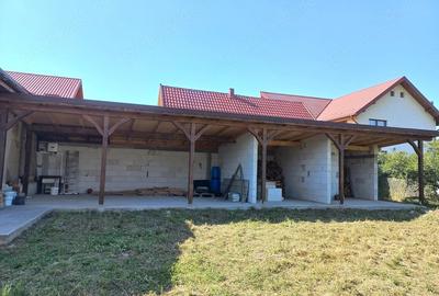 Casă cu 2 camere cu Teren 3200 Mp în Fărcașa - 3