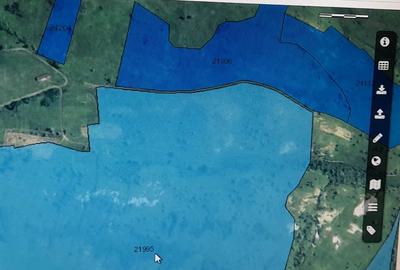 Teren agricol extravilan de 500000 mp, în Tohani - 6