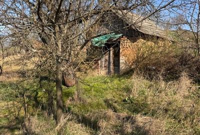 Teren de 6707 mp, în Cetariu - 9