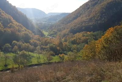 Teren de 8500 mp, în Hărțăgani - 1