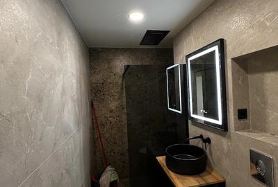 Apartament cu 2 camere decomandat în Colentina - 2