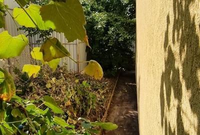 Casă cu 4 camere cu Teren 60 Mp în Central - 2