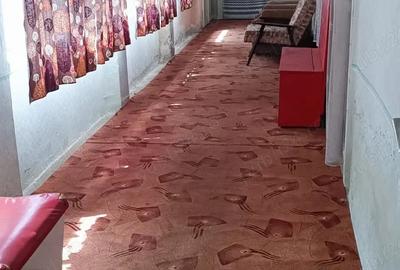 Casă cu 6 camere cu Teren 3277 Mp în Cenad - 5