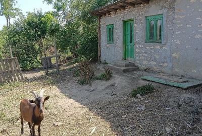 Casă cu Teren 2000 Mp în Cerchezu - 1