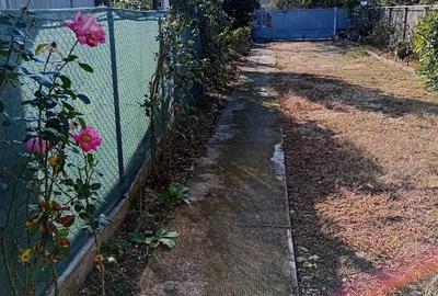 Casă cu 3 camere cu Teren 800 Mp în Central