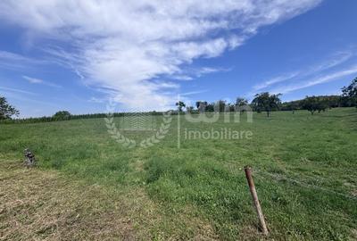 Teren Construcții intravilan de 1500 mp, în Borhanci