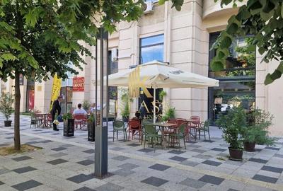 Spațiu comercial, de 228 mp, în Decebal - 3