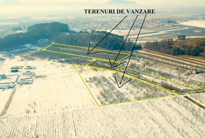 Teren Construcții extravilan de 89800 mp, în Sânpetru - 4