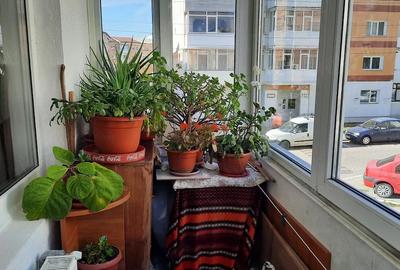 Apartament cu 3 camere decomandat în Central - 2
