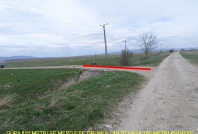 Teren agricol extravilan de 27900 mp, în Periferie - 4