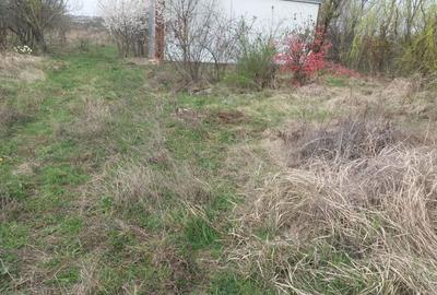 Teren de 3000 mp, în Milcov