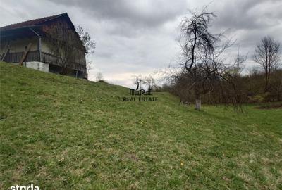 Teren de 9370 mp, în Baia de Criș - 6