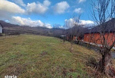 Casă cu 3 camere cu Teren 135 Mp în Băița