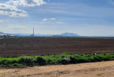 Teren de 52800 mp, în Tărlungeni - 3