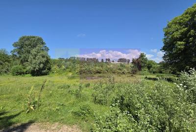 Teren Construcții intravilan de 40679 mp, în Nord-Est - 3