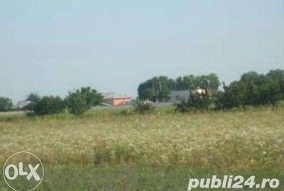 Teren de 644 mp, în Copăceni - 7