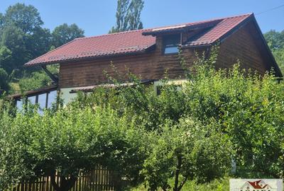 Casă individuală cu 8 camere cu Teren 1160 Mp în Meteș - 10