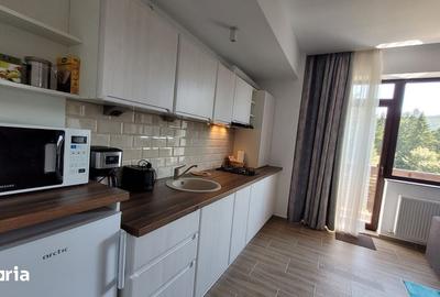 Apartament cu 2 camere în Cioplea - 4