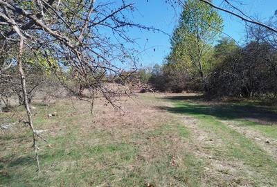 Teren de 8600 mp, în Baia de Fier - 8