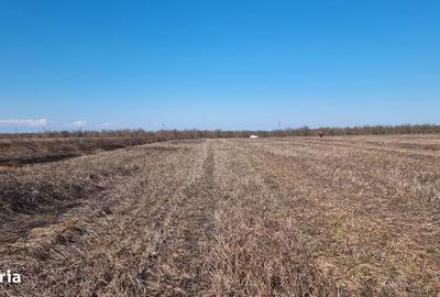 Teren de 17743 mp, în Snagov