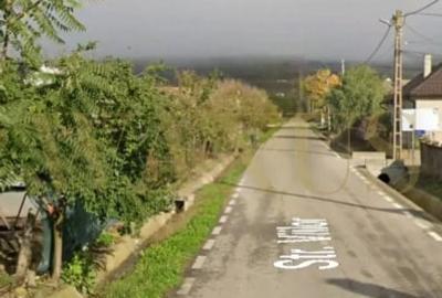 Teren Construcții intravilan de 1450 mp, în Uriu - 3