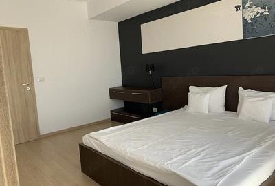 Apartament cu 2 camere decomandat în Dumbrăvița - 5