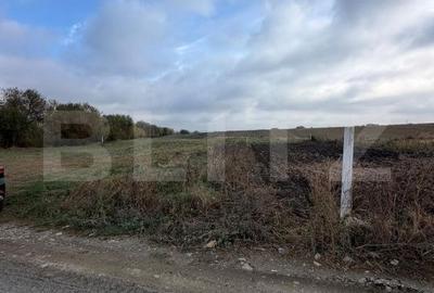 Teren de 674 mp, în Șcheia