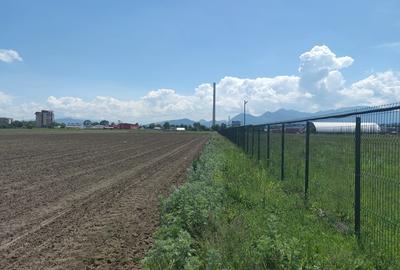 Teren Construcții intravilan de 9500 mp, în Triaj - 6