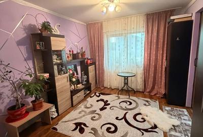 Apartament cu 2 camere decomandat în Lunca Cetățuii