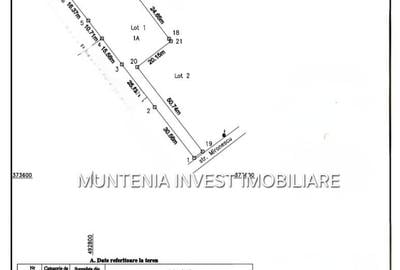 Spațiu comercial, în Ștefănești - 9