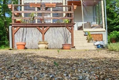 Casă cu 4 camere cu Teren 1200 Mp în Săldăbagiu de Munte - 7
