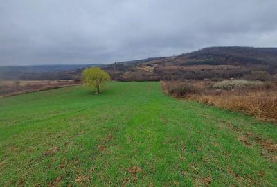 Teren agricol extravilan de 3744 mp, în Gruilung - 3