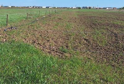 Teren de 10000 mp, în Moșnița Nouă