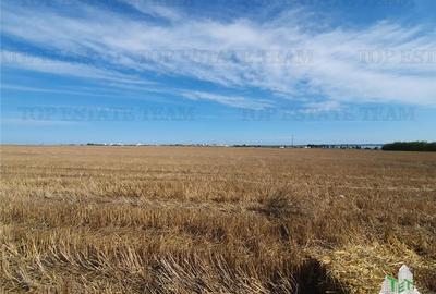 Teren Construcții extravilan de 5000 mp, în Agigea - 5
