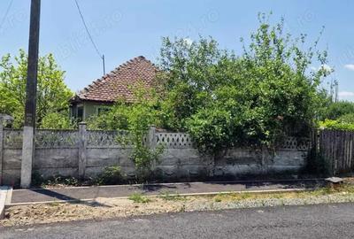 Casă cu 3 camere cu Teren 1853 Mp în Devesel - 7