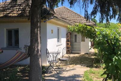 Casă cu 2 camere cu Teren 1000 Mp în Crevedia - 1