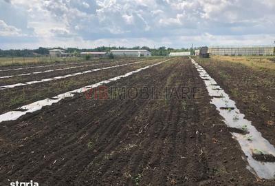 Teren de 30000 mp, în Nicolae Bălcescu
