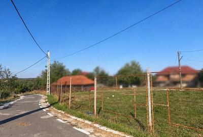 Teren de 1312 mp, în Albota