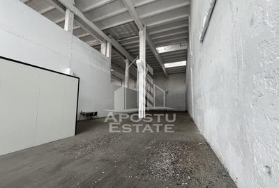 Spațiu industrial, de 448 mp, în Șagului